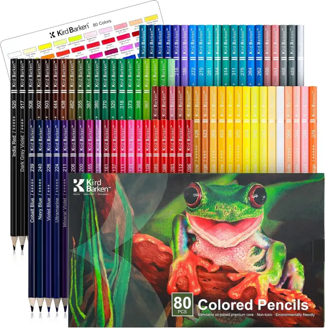 Lápices de colores profesionales x80